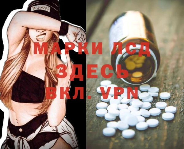 ПСИЛОЦИБИНОВЫЕ ГРИБЫ Снежногорск
